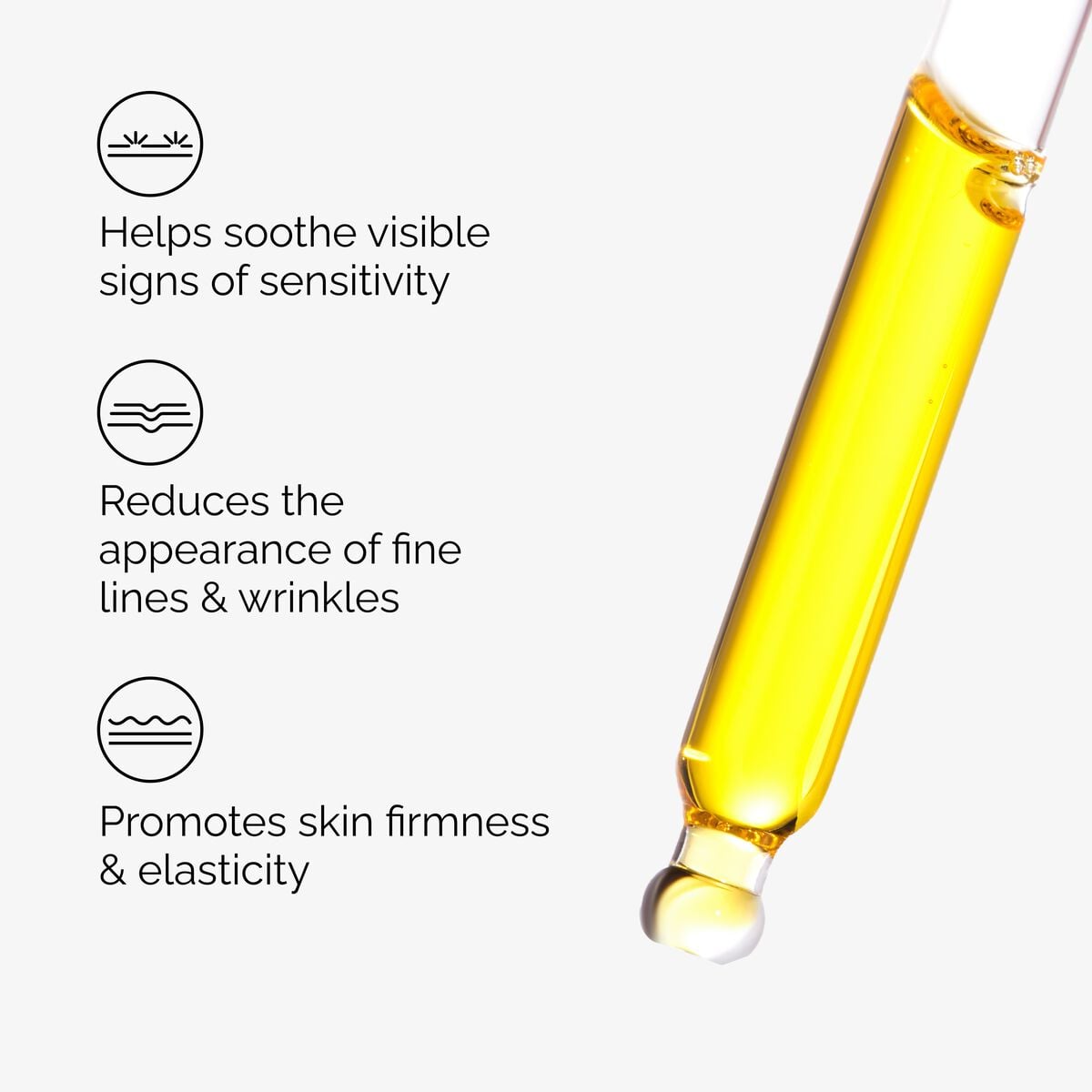 100-fermented-rose-hip-seed-oil-u2 100pct-fermented-rose-hip-key-ingredients.jpg