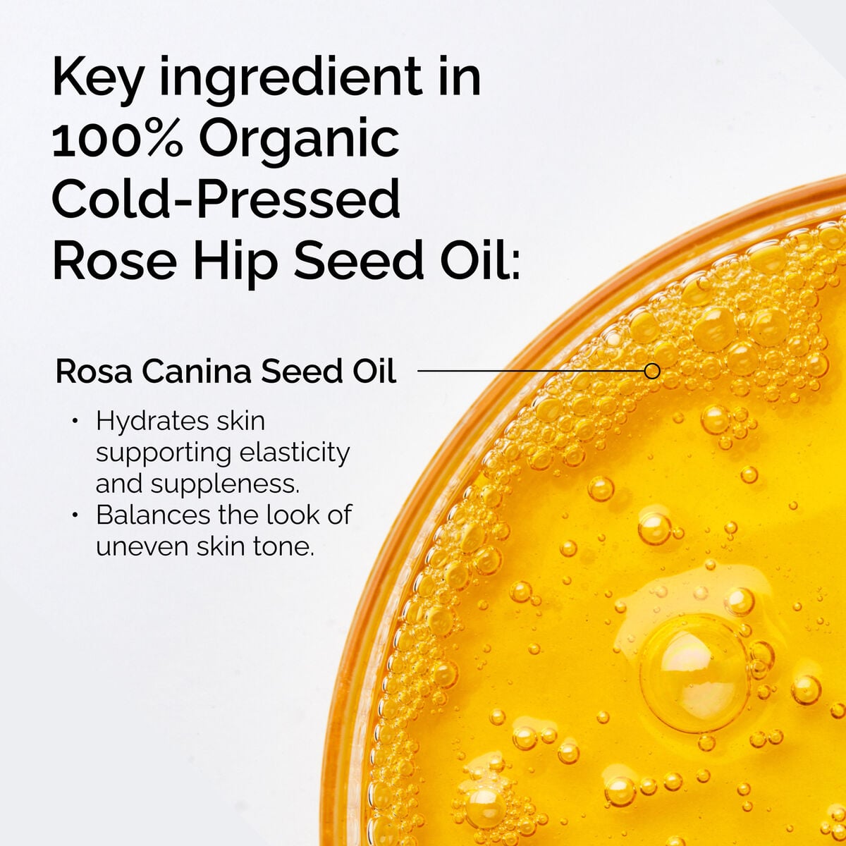 100-organic-cold-pressed-rose-hip-seed-oil-b3 FY25-D41247-ORD-Web-PDP-100-Rose-Hip-Oil-1x1-EN-2.jpg