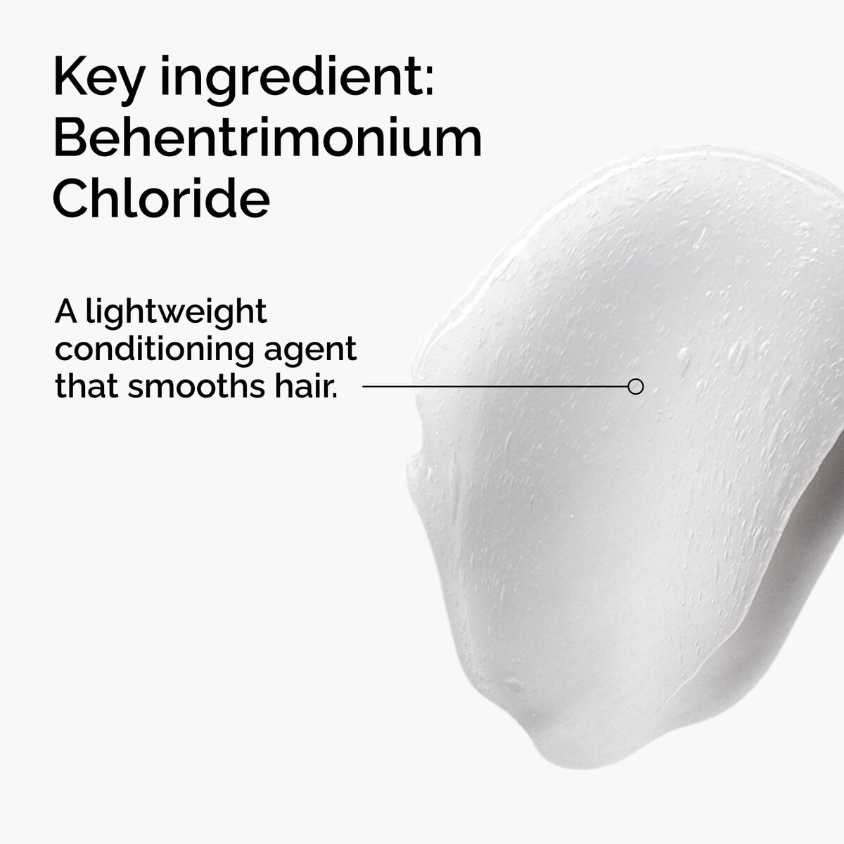 behentrimonium-chloride-2-conditioner-a1 FY25-D41247-ORD-Web-PDP-BTC-1x1-EN-2a.jpg