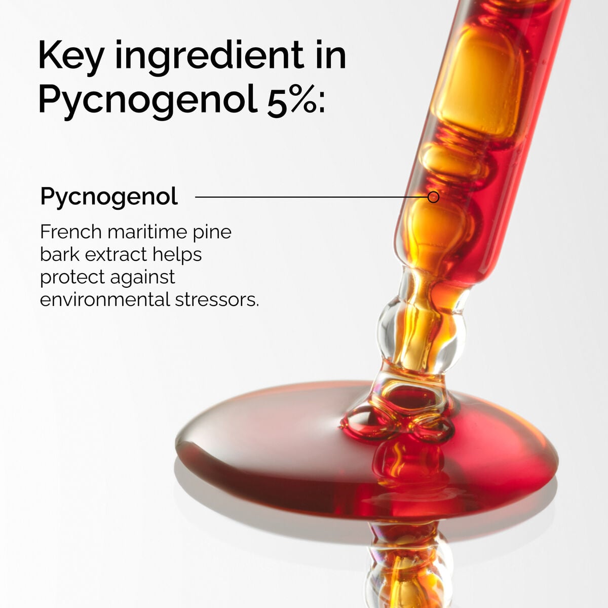 pycnogenol-5-u9 FY25-D41247-ORD-Web-PDP-Pyc-5pct-1x1-EN-2a.jpg