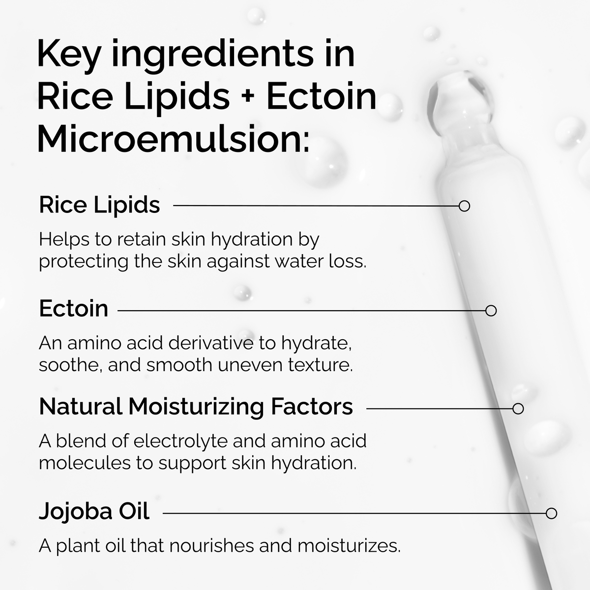 rice-lipids-ectoin-microemulsion-z3 ord-rice-lipids-ectoin-microemulsion-key-ingredients.png