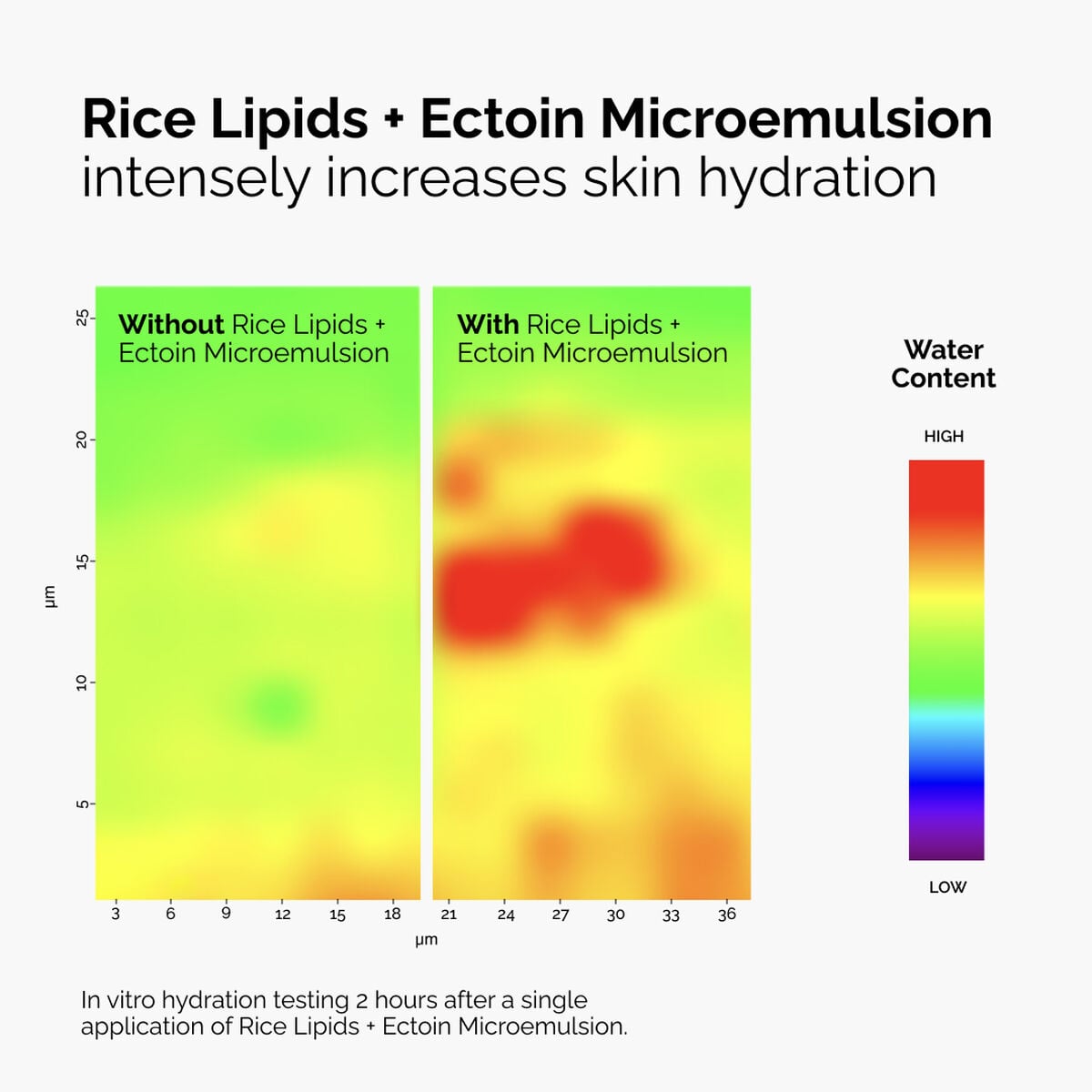 rice-lipids-ectoin-microemulsion-z3 ord-rice-lipids-ectoin-microemulsion-thermal-before-after.jpg